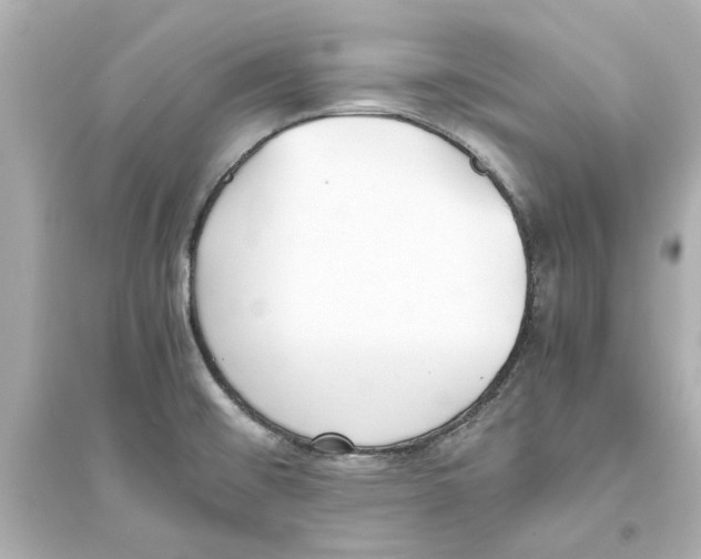 X0000093571476200711121026