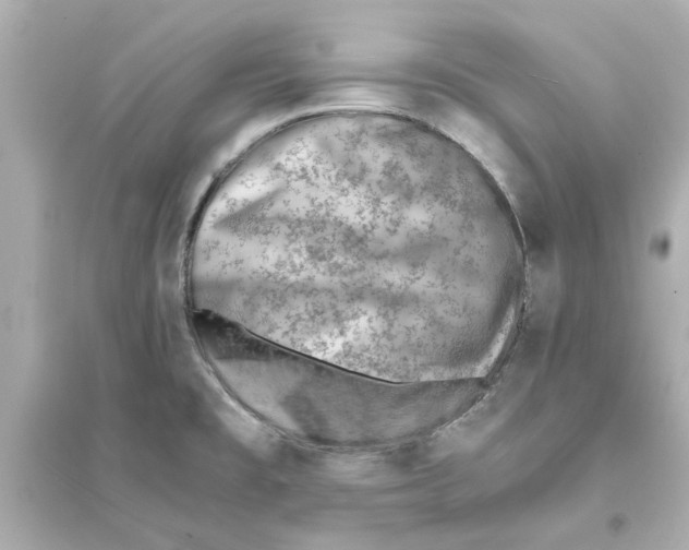 X0000093571477200711121025