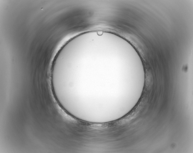 X0000093571478200711121025