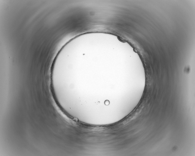 X0000093571479200711121025