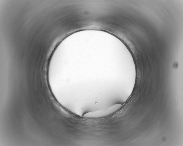 X0000093571480200711121025