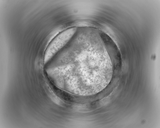 X0000093571481200711121025