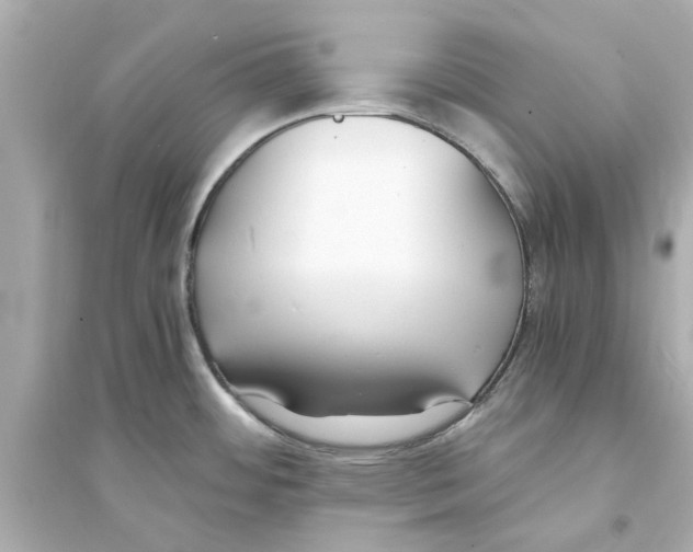 X0000093571484200711121025