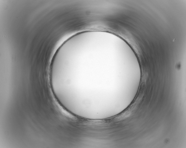 X0000093571486200711121025