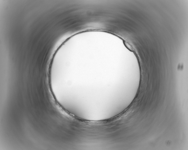 X0000093571488200711121025