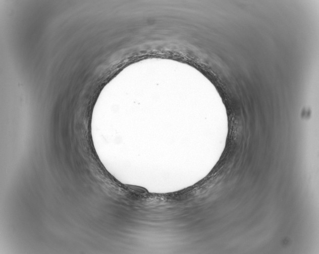 X0000093571489200711121025