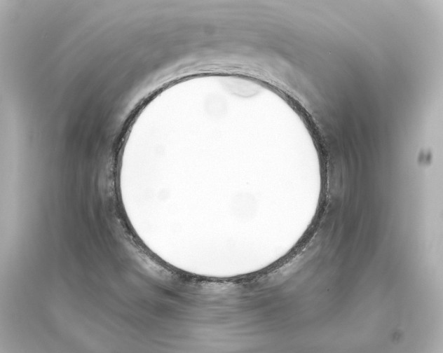 X0000093571498200711121025