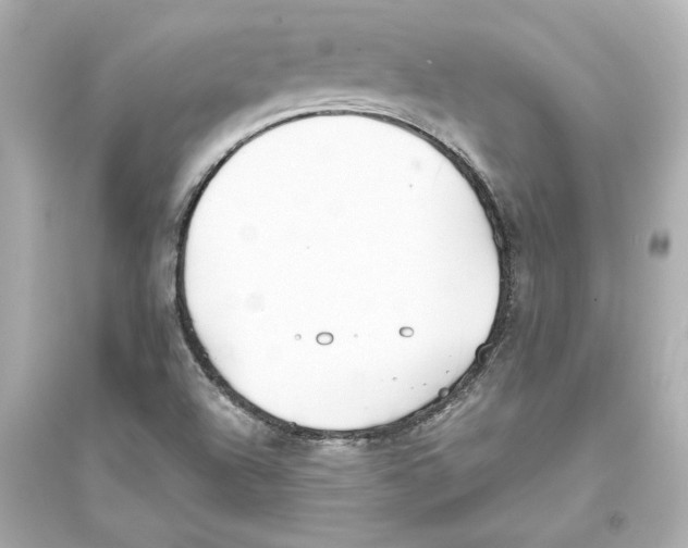 X0000093571504200711121025