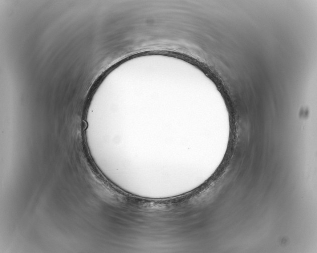 X0000093571505200711121025