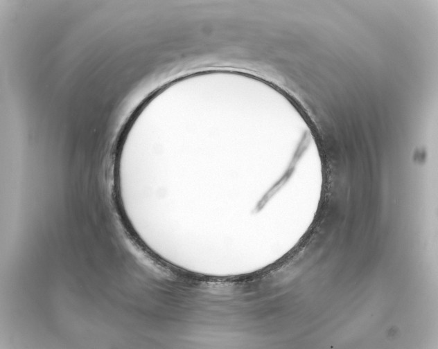 X0000093571511200711121025