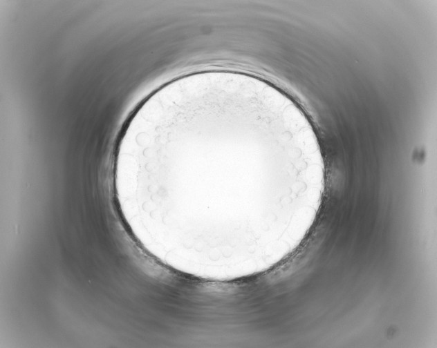 X0000093571514200711121025