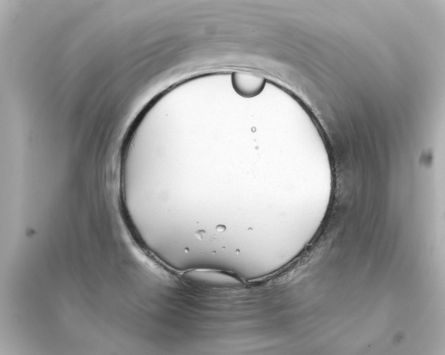 X0000093571515200711121025