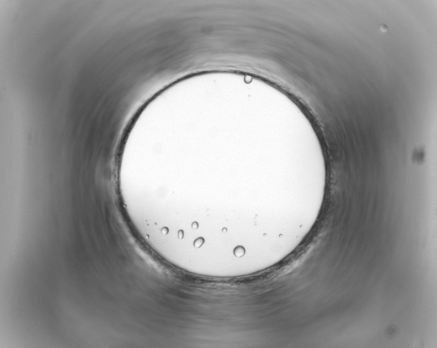 X0000093571517200711121025