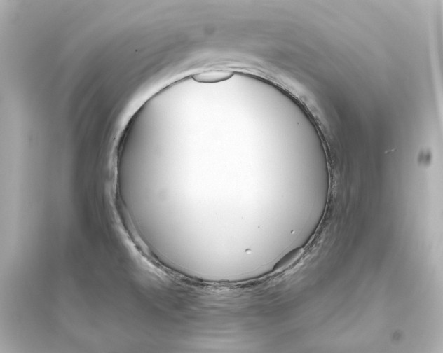 X0000093571520200711121025