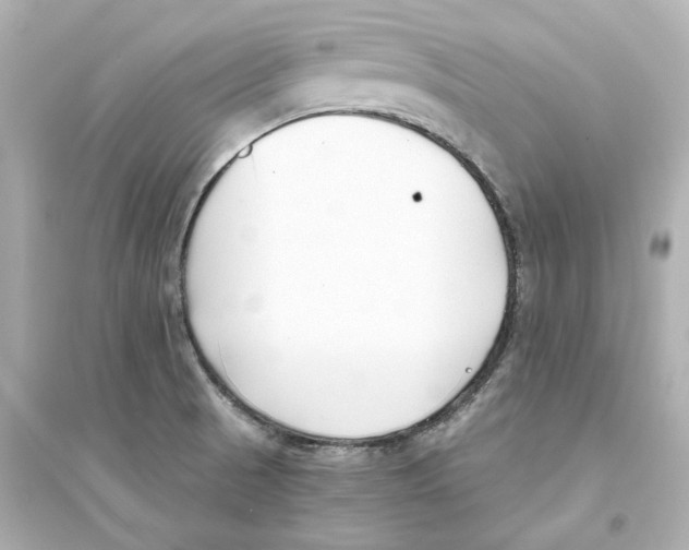 X0000093571521200711121025