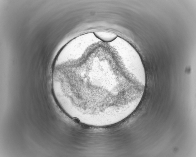 X0000093571522200711121025