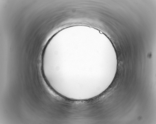 X0000093571523200711121025