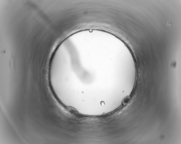 X0000093571525200711121025