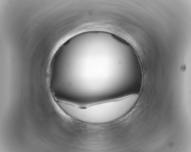 X0000093571528200711121025