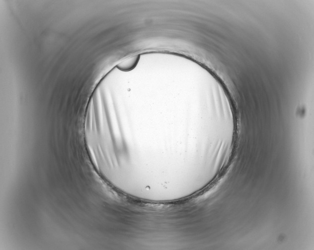 X0000093571529200711121025