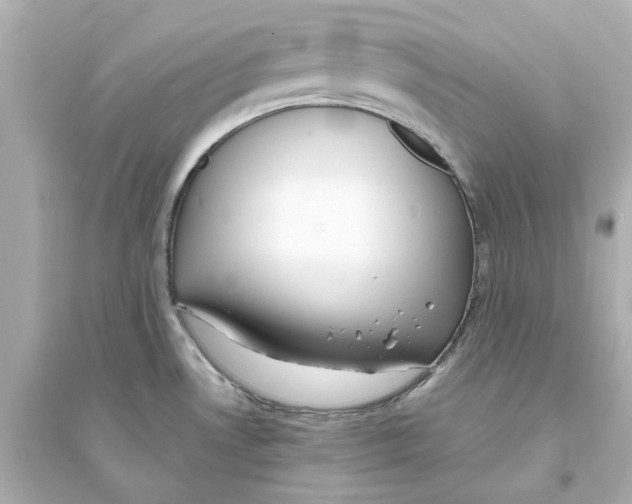 X0000093571530200711121025