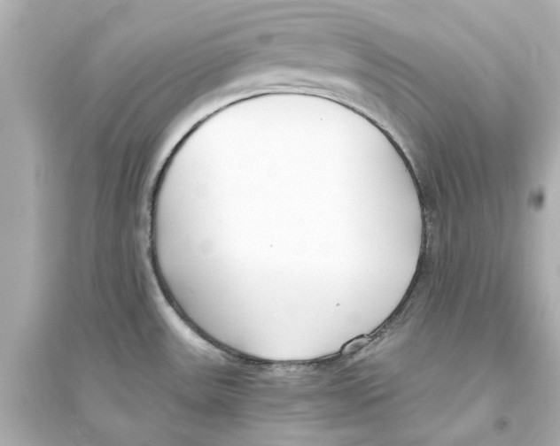 X0000093571531200711121025