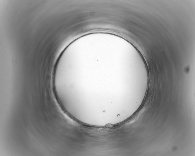 X0000093571533200711121025