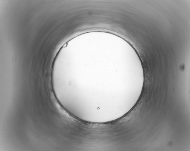 X0000093571534200711121025