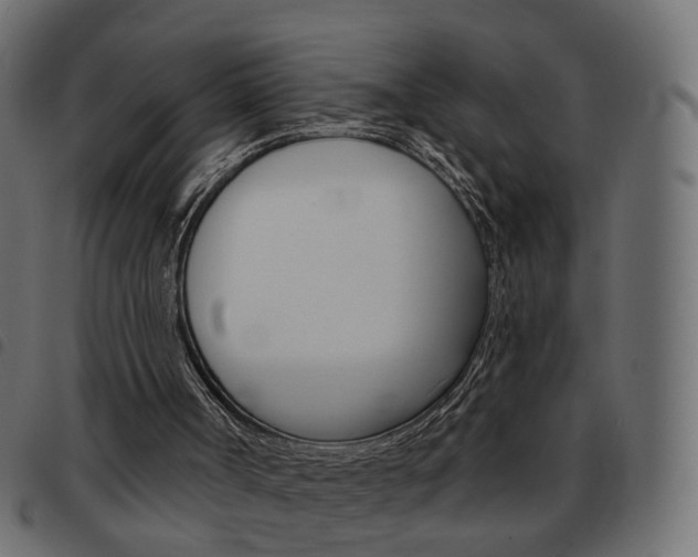 X0000093580002200710151007