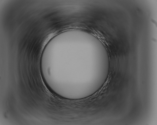X0000093580003200710151006