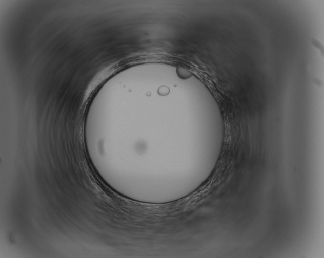 X0000093580004200710151006