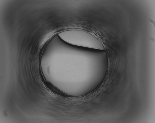X0000093580005200710151006