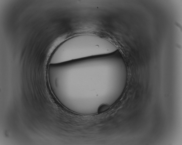 X0000093580006200710151006