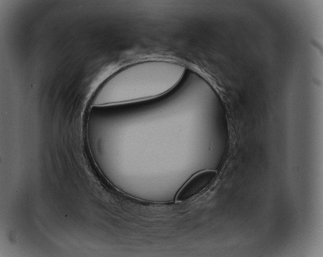 X0000093580008200710151006