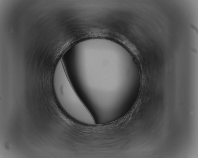 X0000093580009200710151006