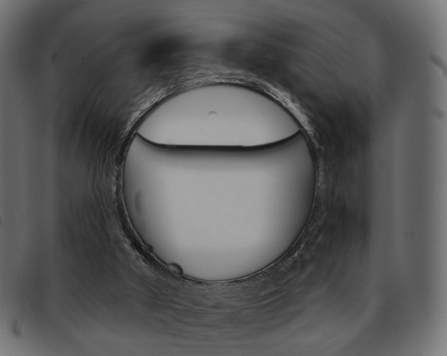 X0000093580010200710151006