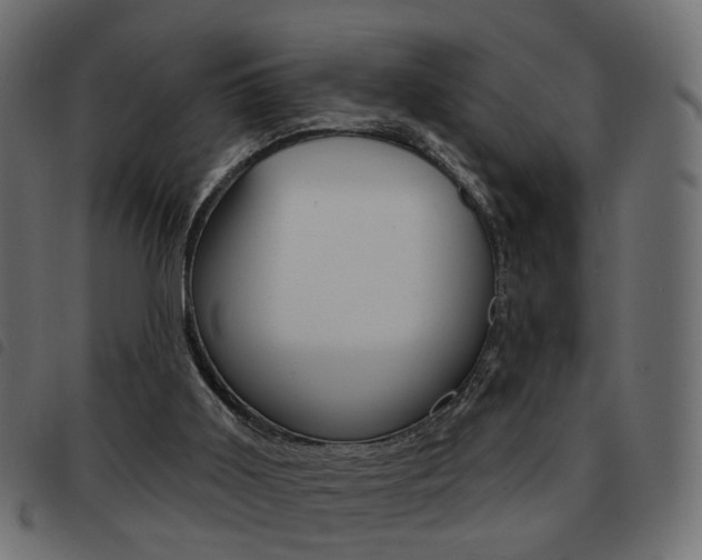 X0000093580011200710151006