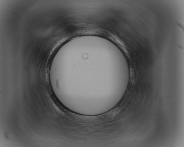 X0000093580012200710151006