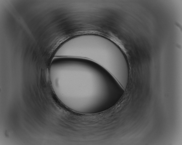X0000093580013200710151006