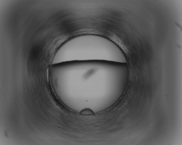 X0000093580014200710151006