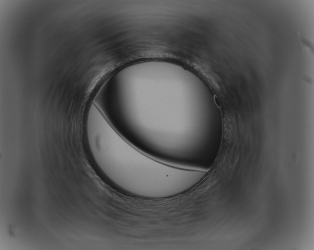 X0000093580015200710151006