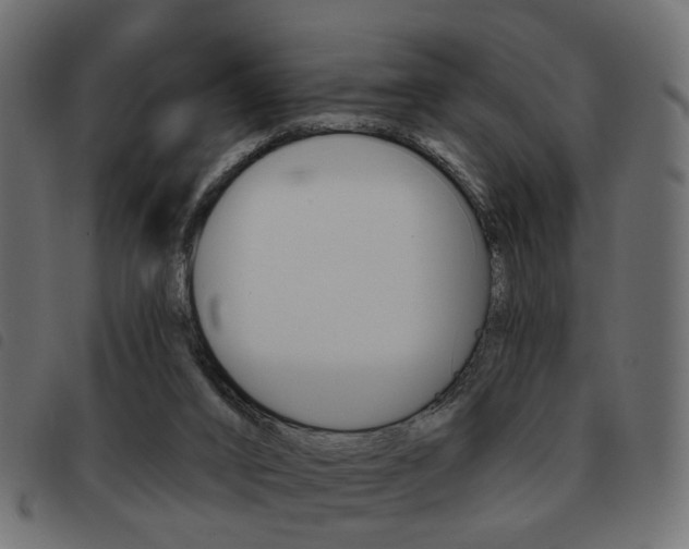 X0000093580016200710151006