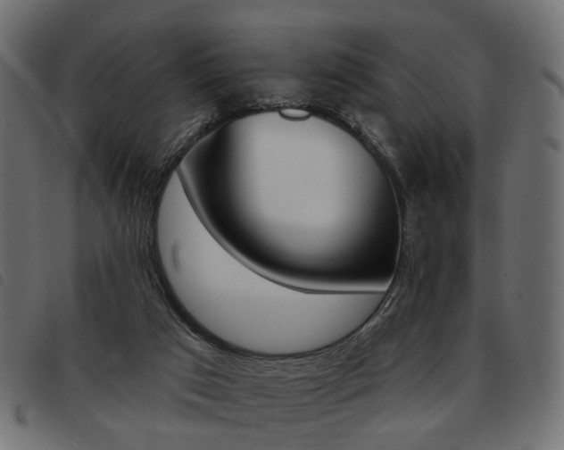 X0000093580017200710151006