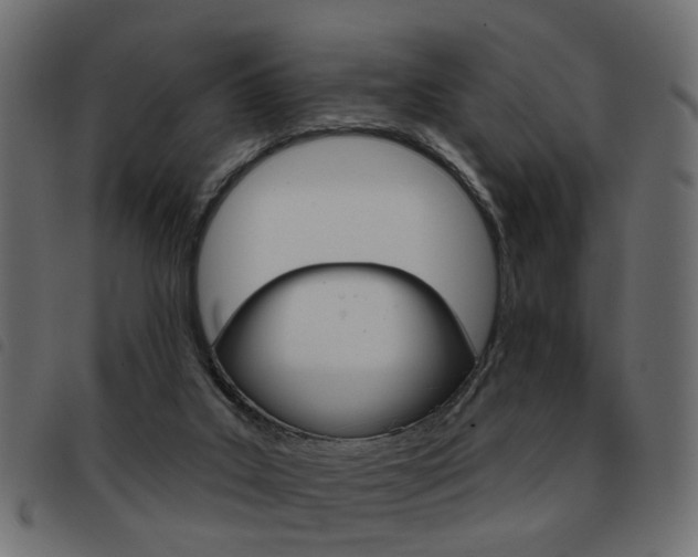 X0000093580019200710151006