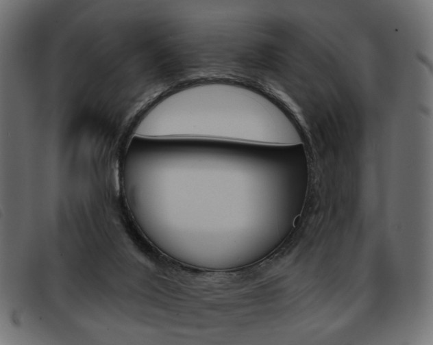 X0000093580020200710151006