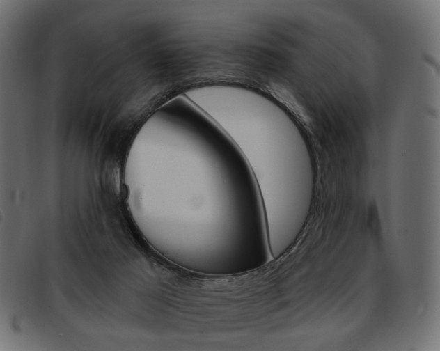 X0000093580021200710151006