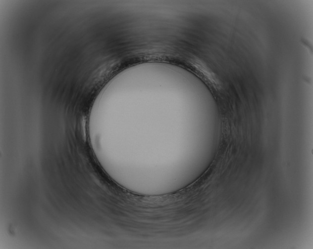 X0000093580022200710151006