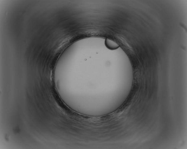 X0000093580024200710151006