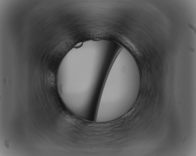 X0000093580025200710151006