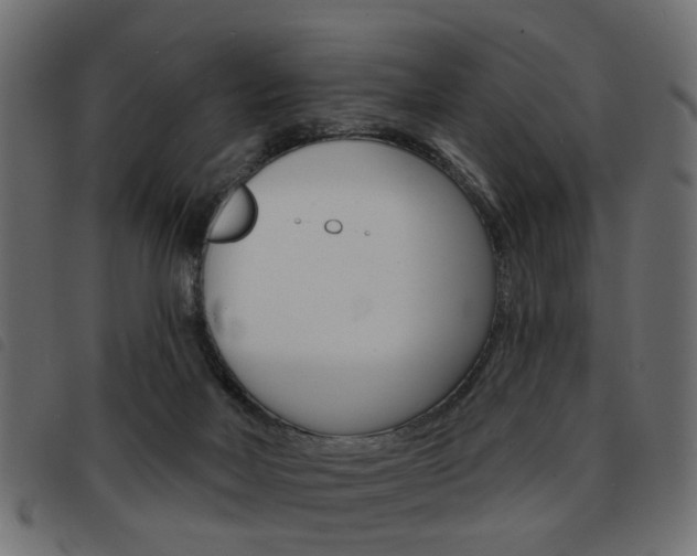 X0000093580026200710151006